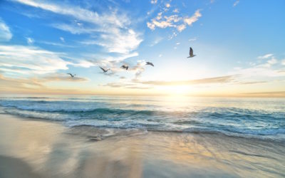 Las claves del liderazgo colaborativo